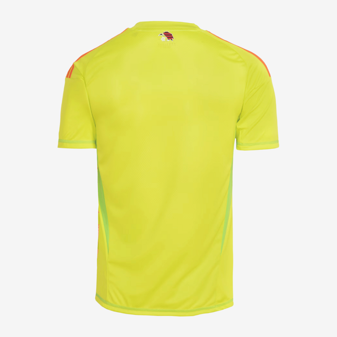 Camisa Adidas Flamengo 2025/26 I Goleiro - imagem 2