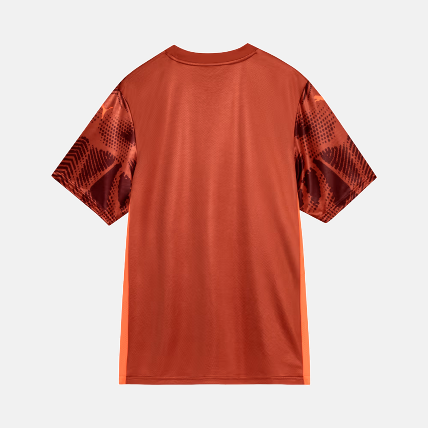 Camisa Goleiro Palmeiras 2025/26 II – Torcedor - imagem 2