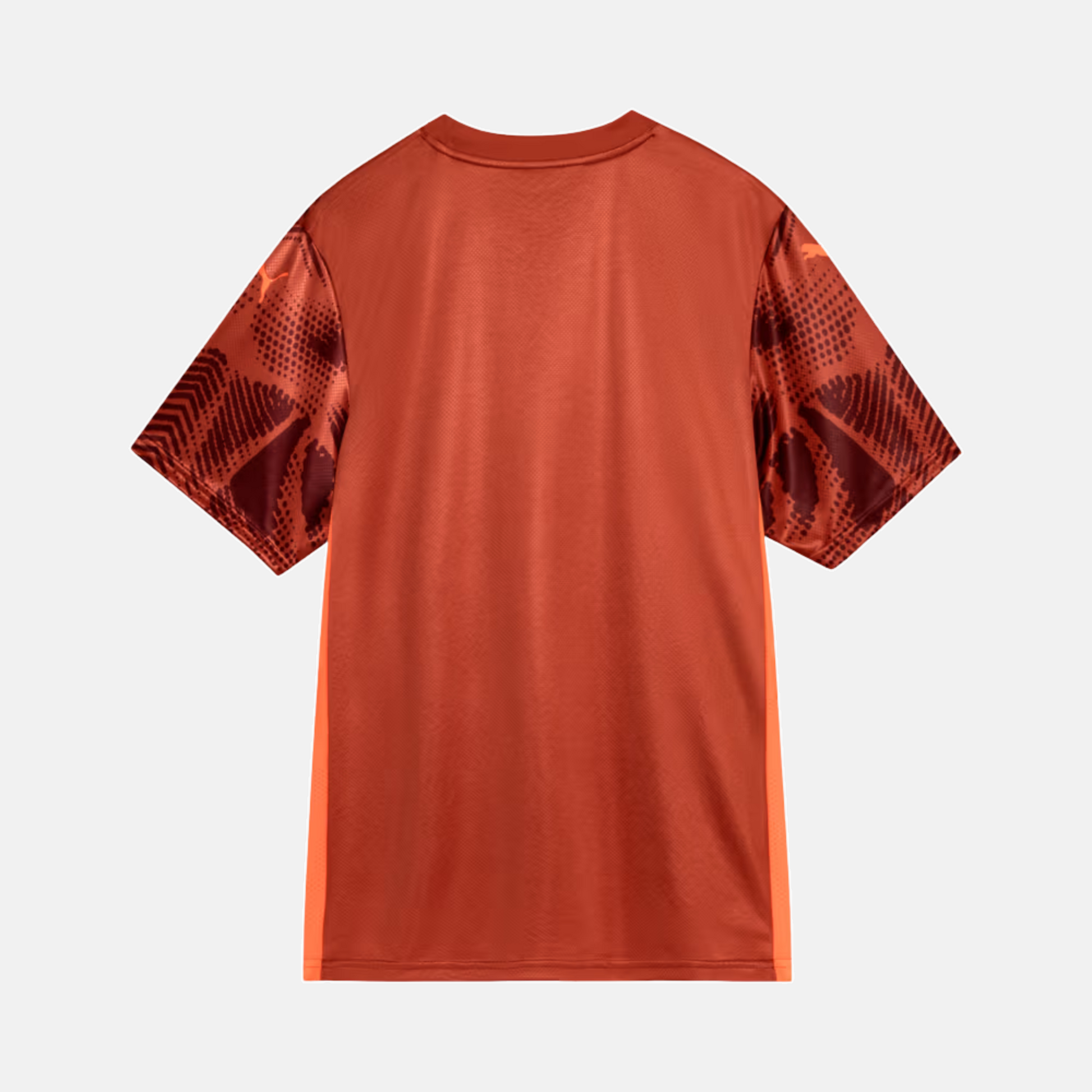Camisa Goleiro Palmeiras 2025/26 II – Torcedor - imagem 2
