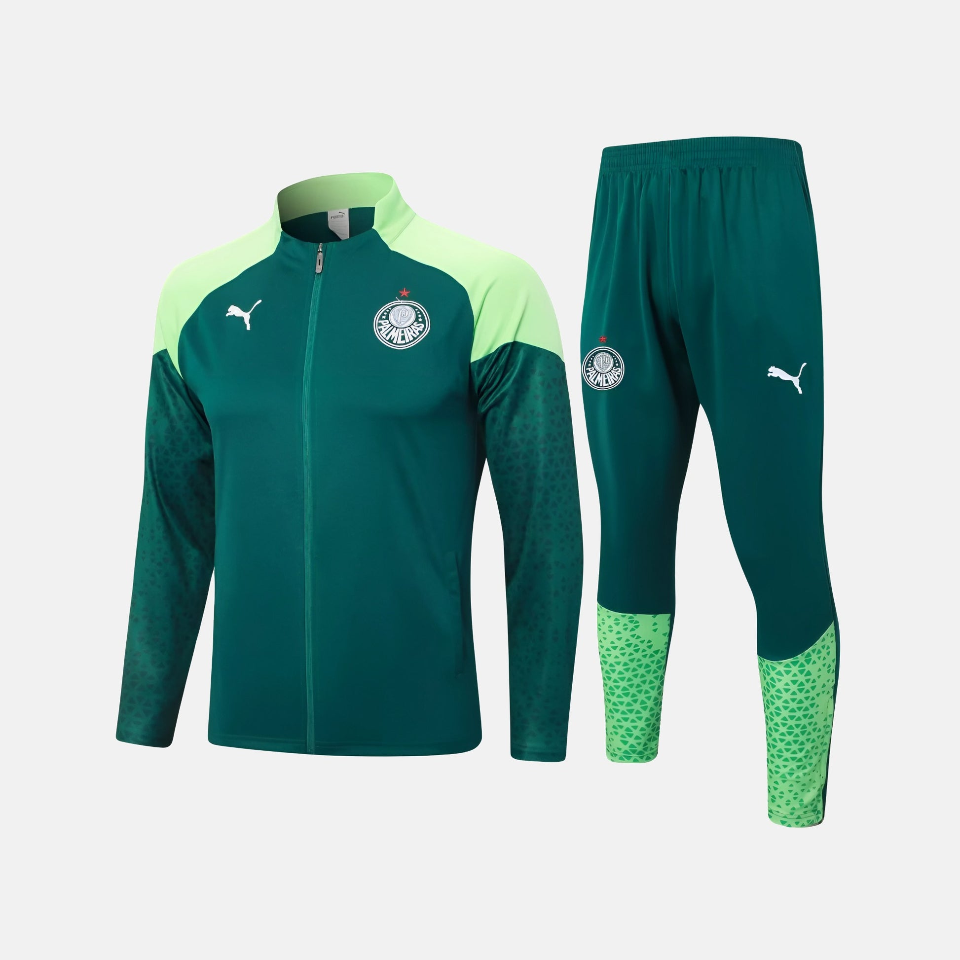 Conjunto de Treino Palmeiras 2024/25 I – Masculino - imagem 1