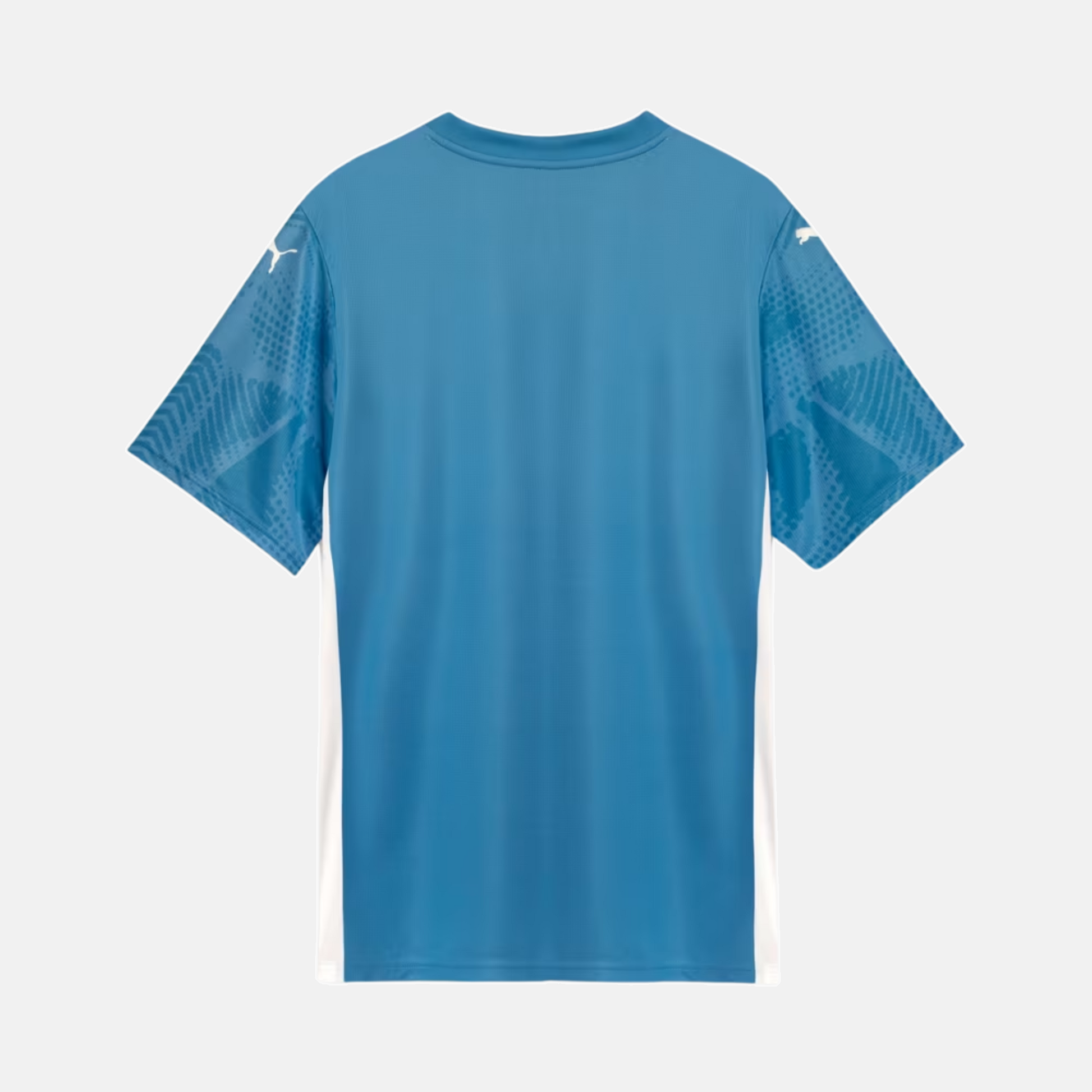 Camisa Goleiro Palmeiras 2025 I – Torcedor - imagem 2