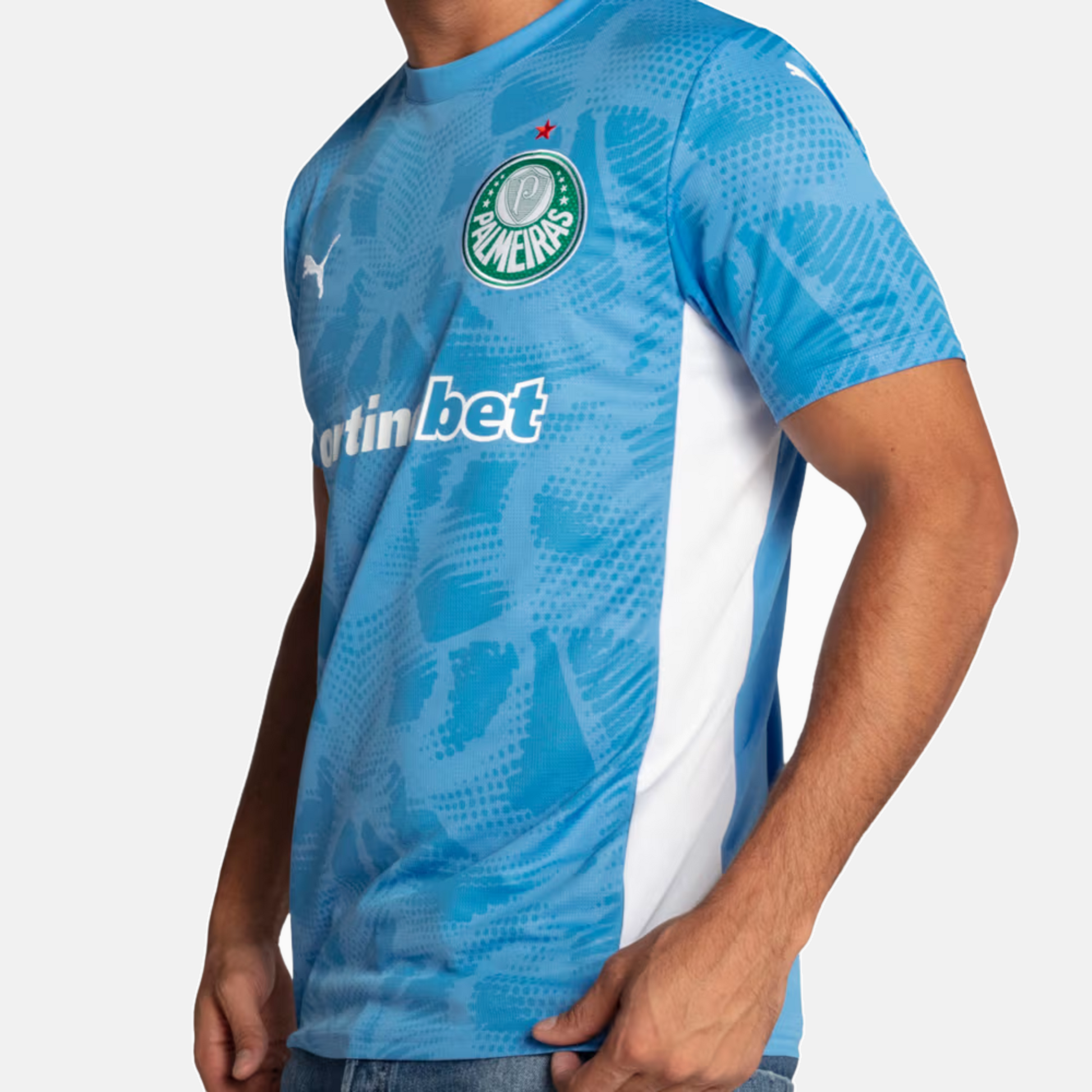 Camisa Goleiro Palmeiras 2025 I – Torcedor - imagem 5