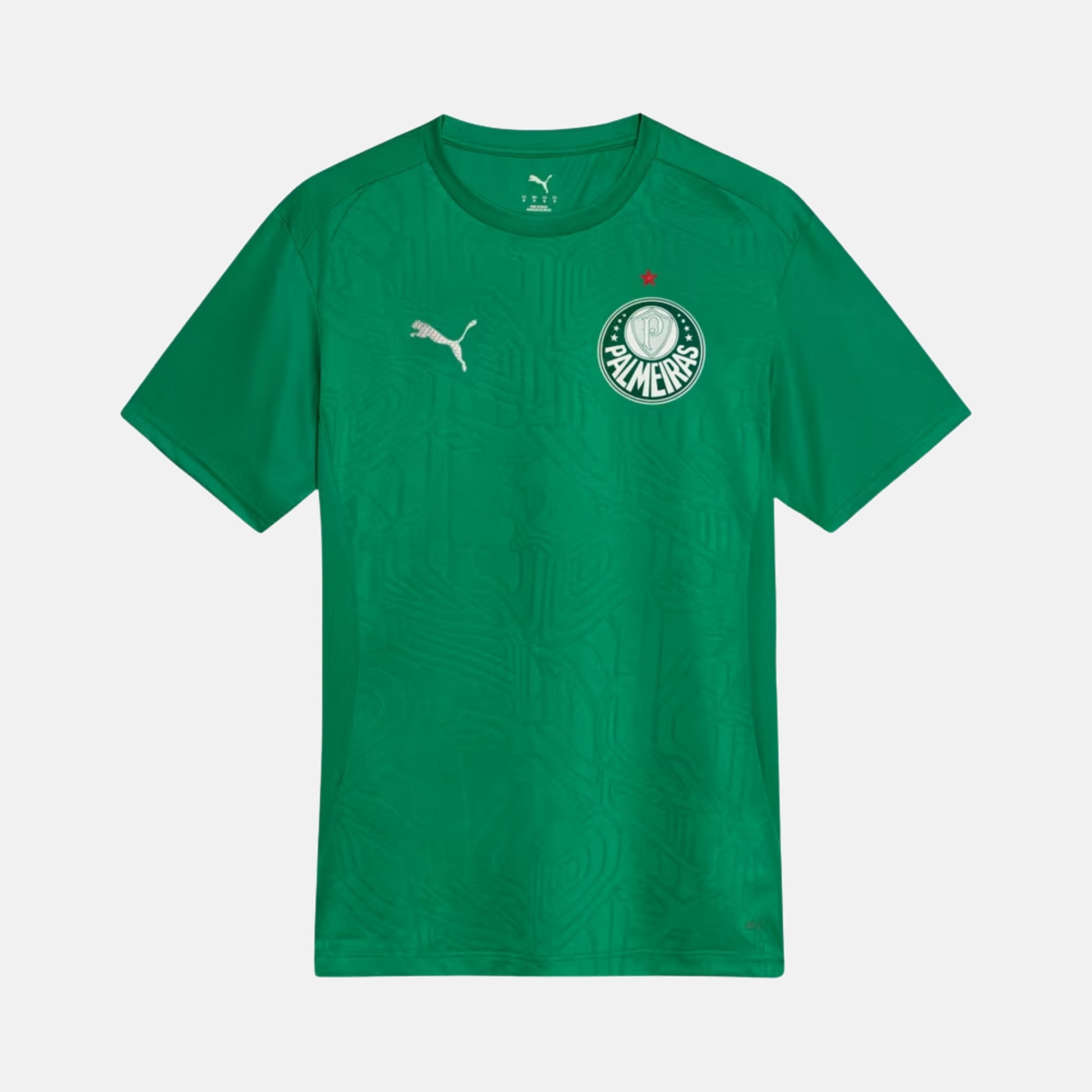 Camisa Palmeiras 2025 – Treino - imagem 1