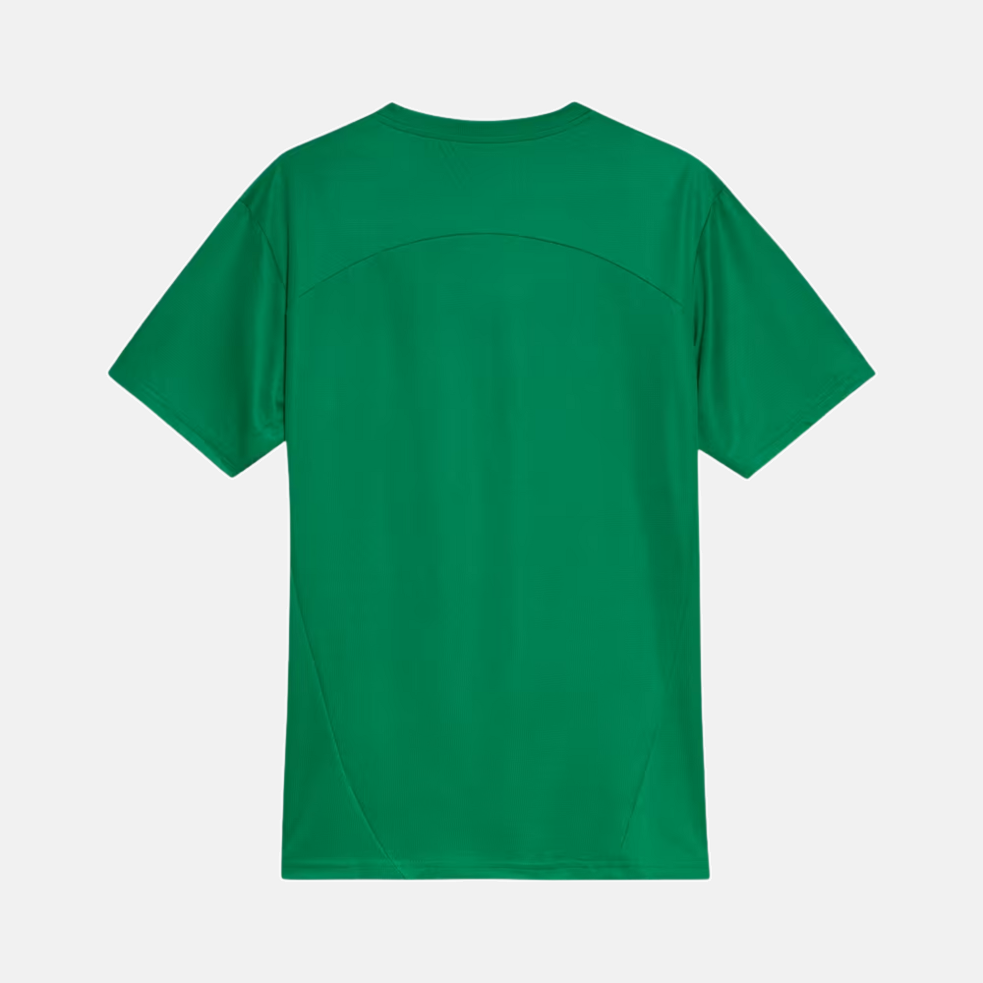 Camisa Palmeiras 2025 – Treino - imagem 2