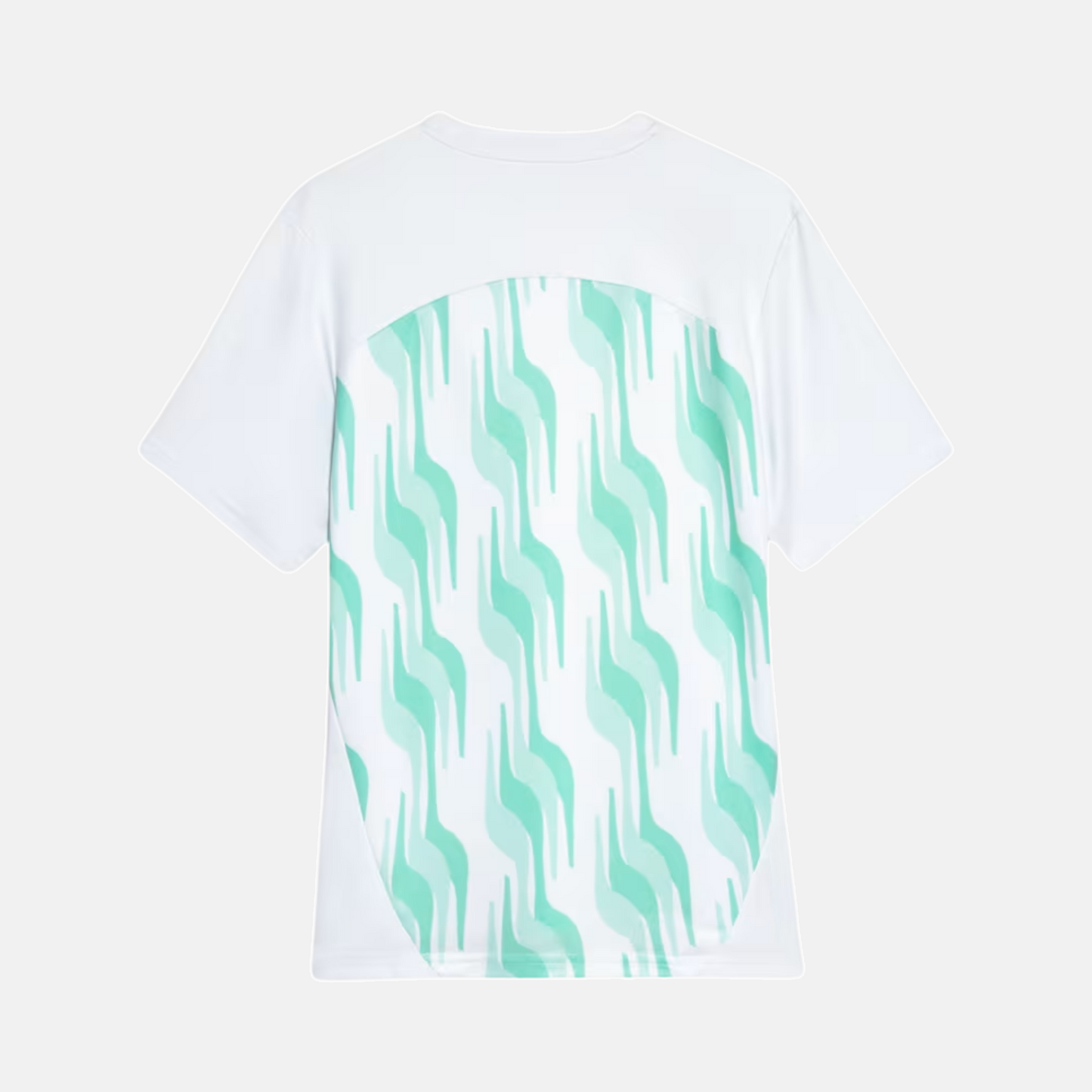 Camisa Puma Palmeiras 2025/26 Pré-Jogo - imagem 2