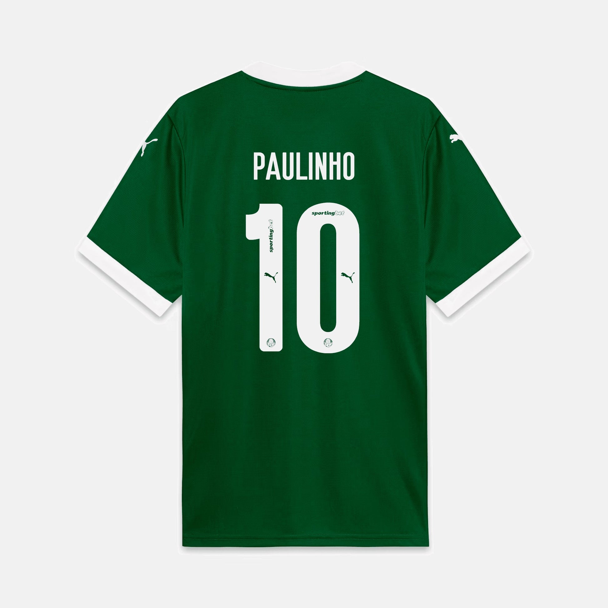 Camisa Puma Palmeiras 2025/26 I - Paulinho N° 10 - imagem 1