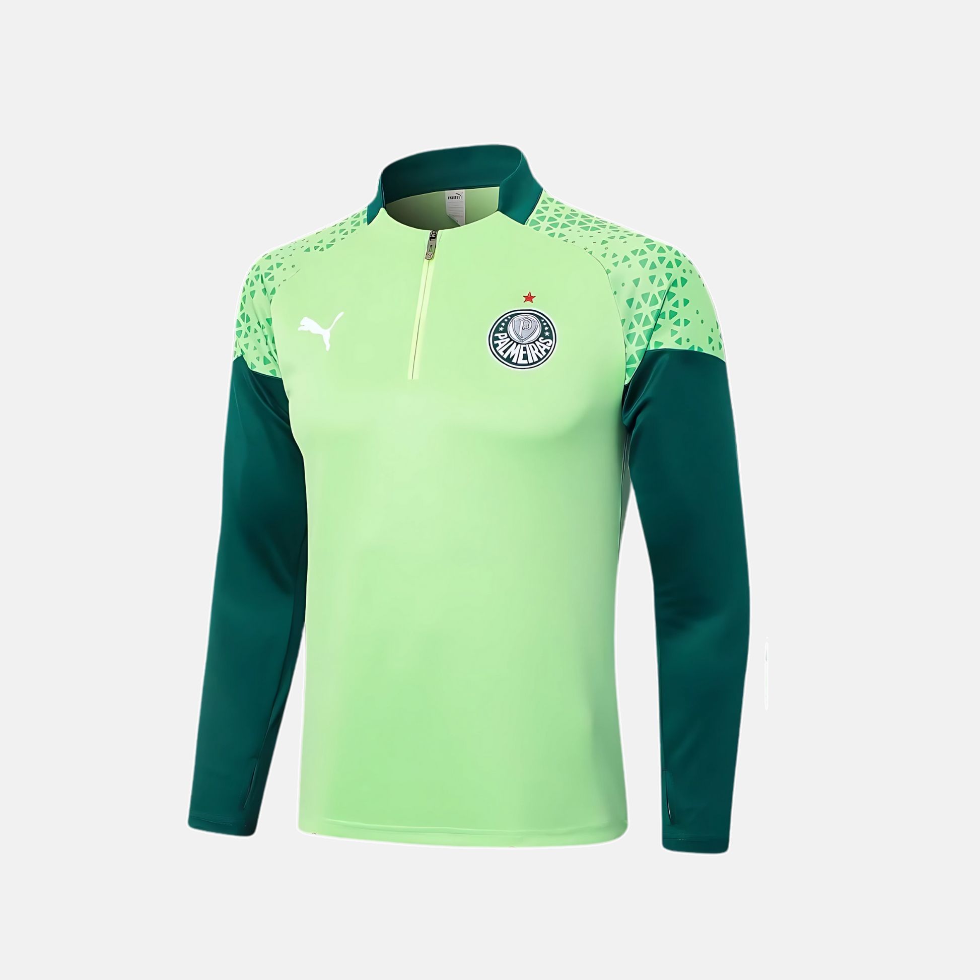 Conjunto de Treino Puma Palmeiras 2024/25 II – Masculino - imagem 2