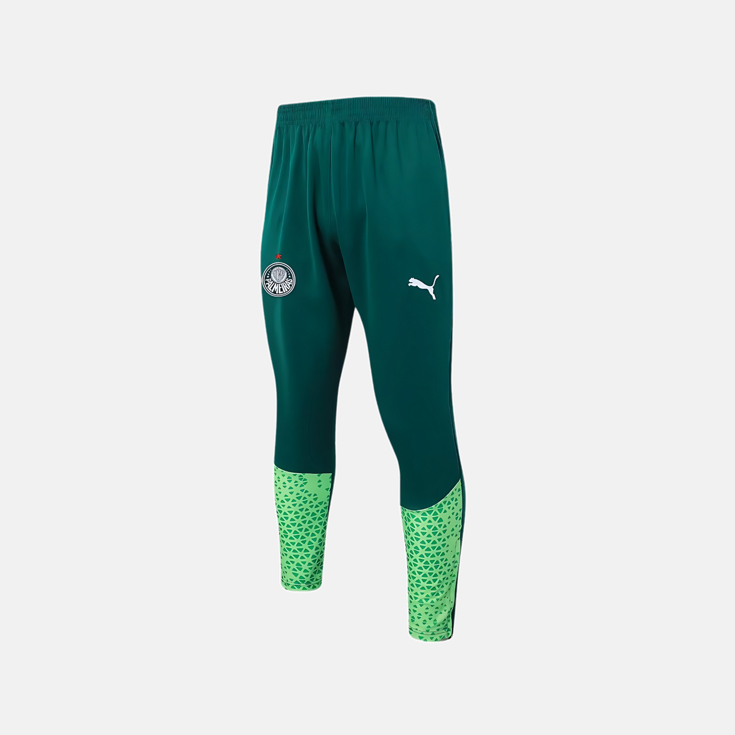 Conjunto de Treino Puma Palmeiras 2024/25 II – Masculino - imagem 3