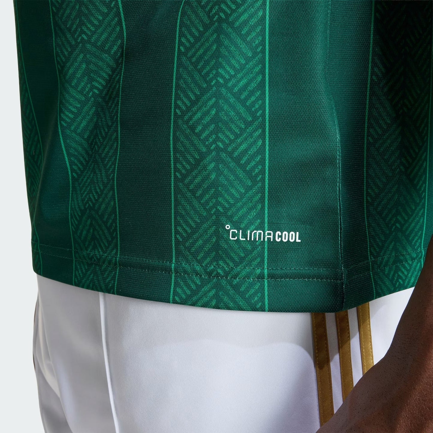 Camisa África do Sul 2026/27 I - imagem 3