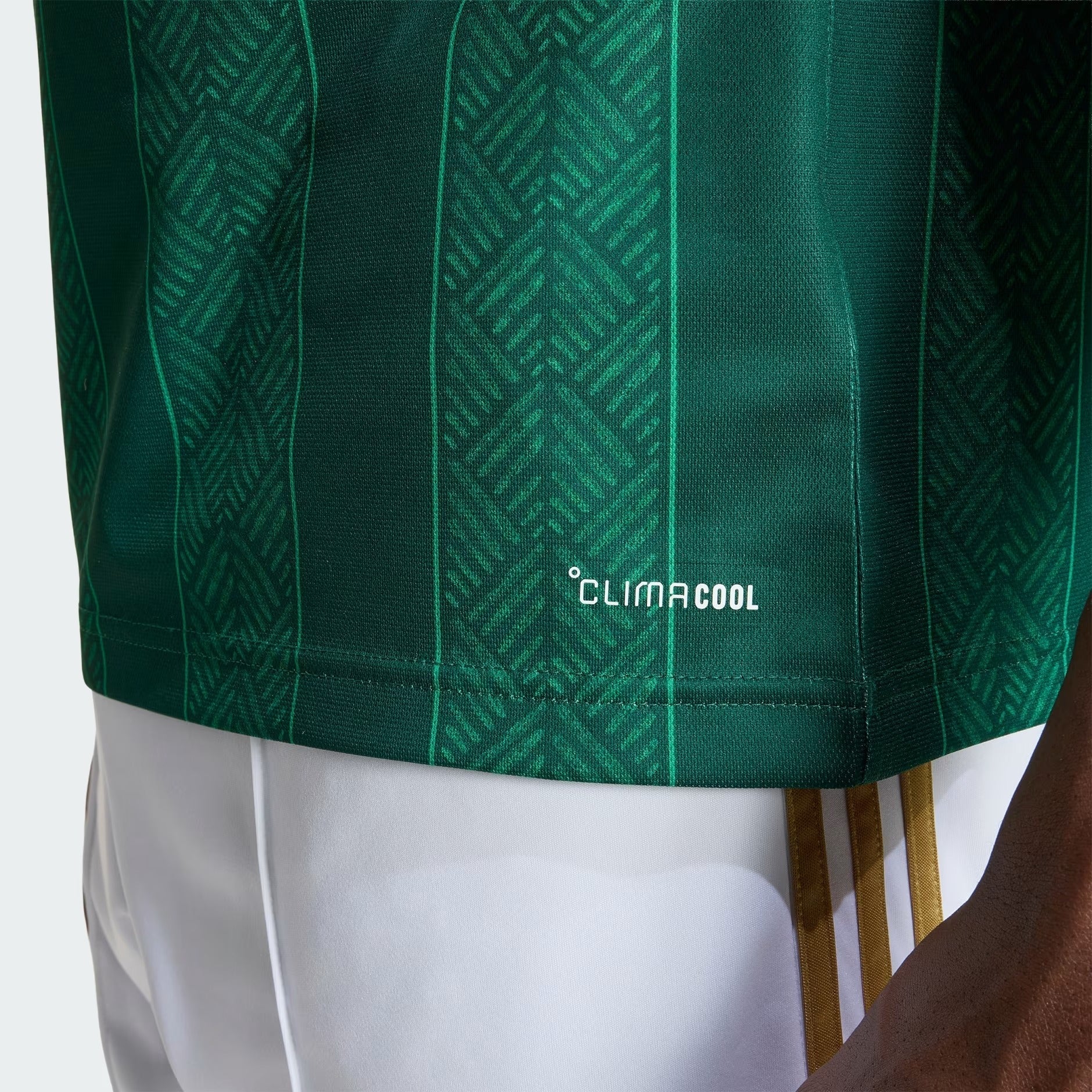Camisa África do Sul 2026/27 I - imagem 3