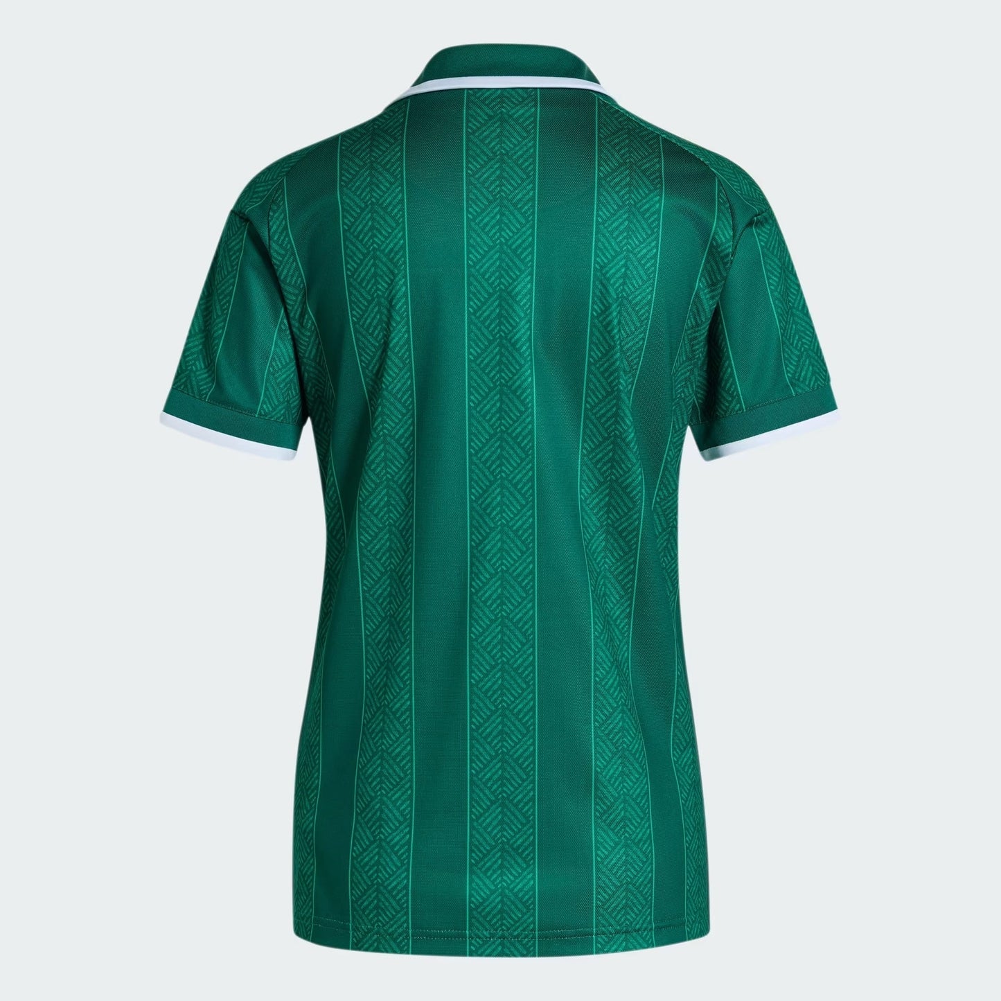 Camisa Feminina África do Sul 2026/27 I - imagem 5