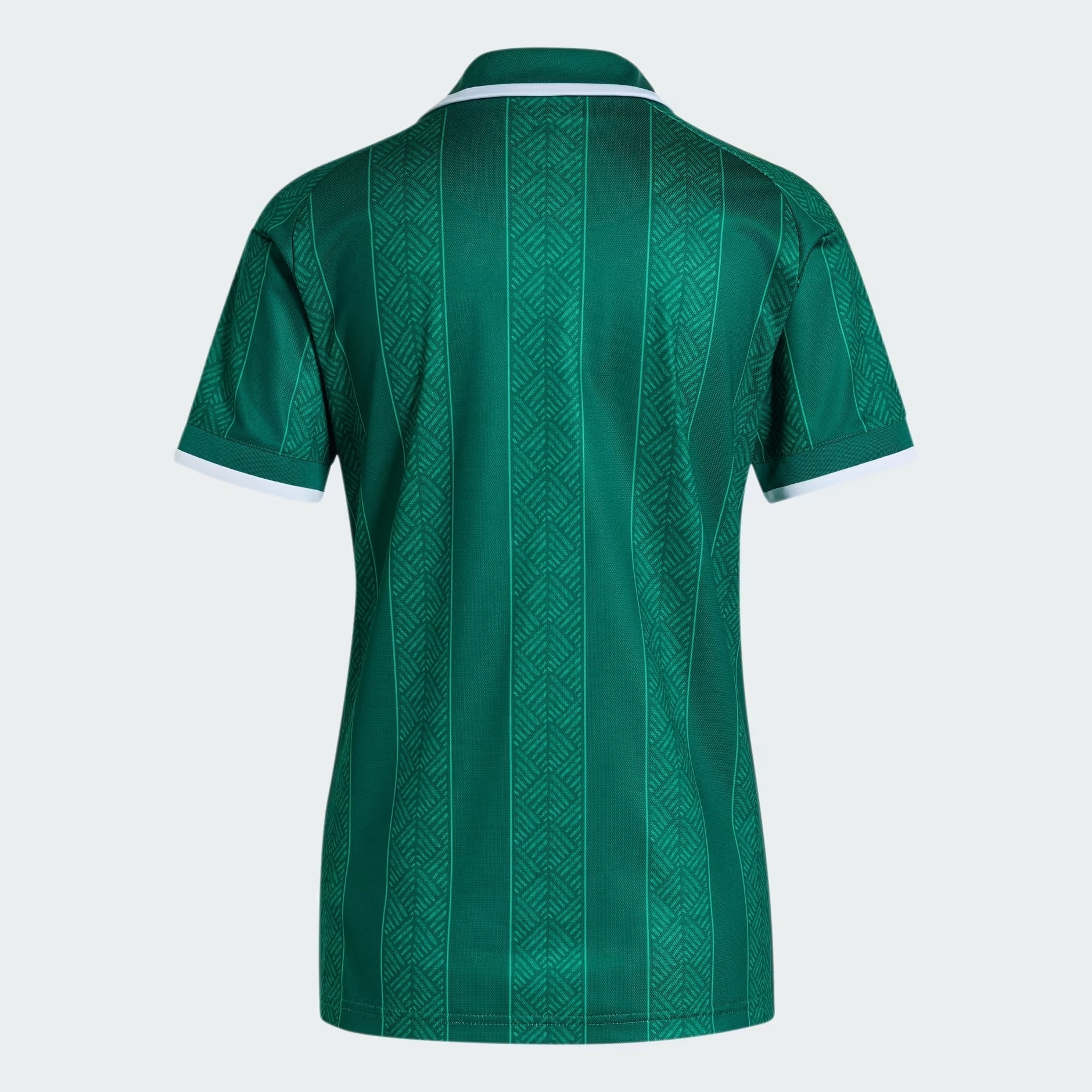 Camisa Feminina África do Sul 2026/27 I - imagem 5