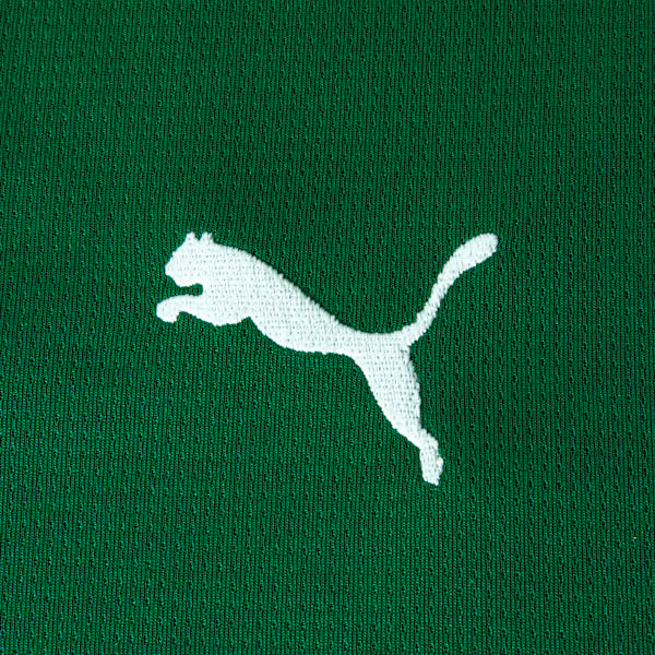 Conjunto Infantil Palmeiras 2026/27 I - imagem 5