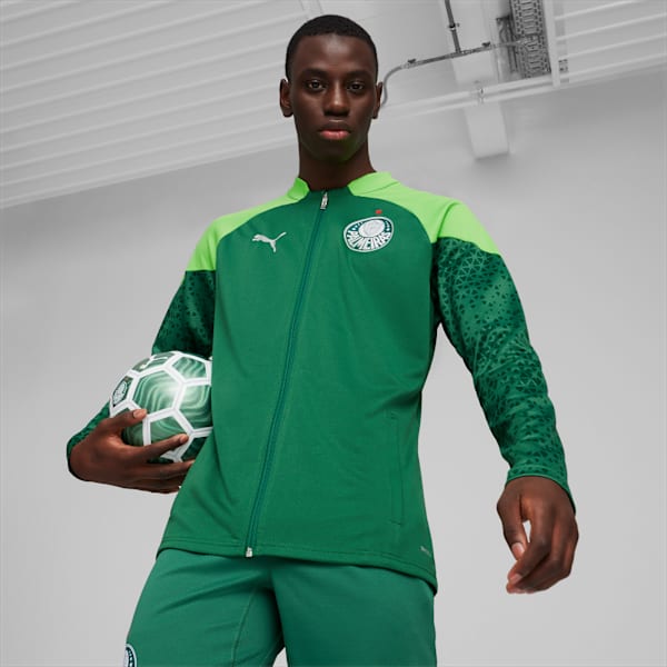 Jaqueta Palmeiras Treino - imagem 1