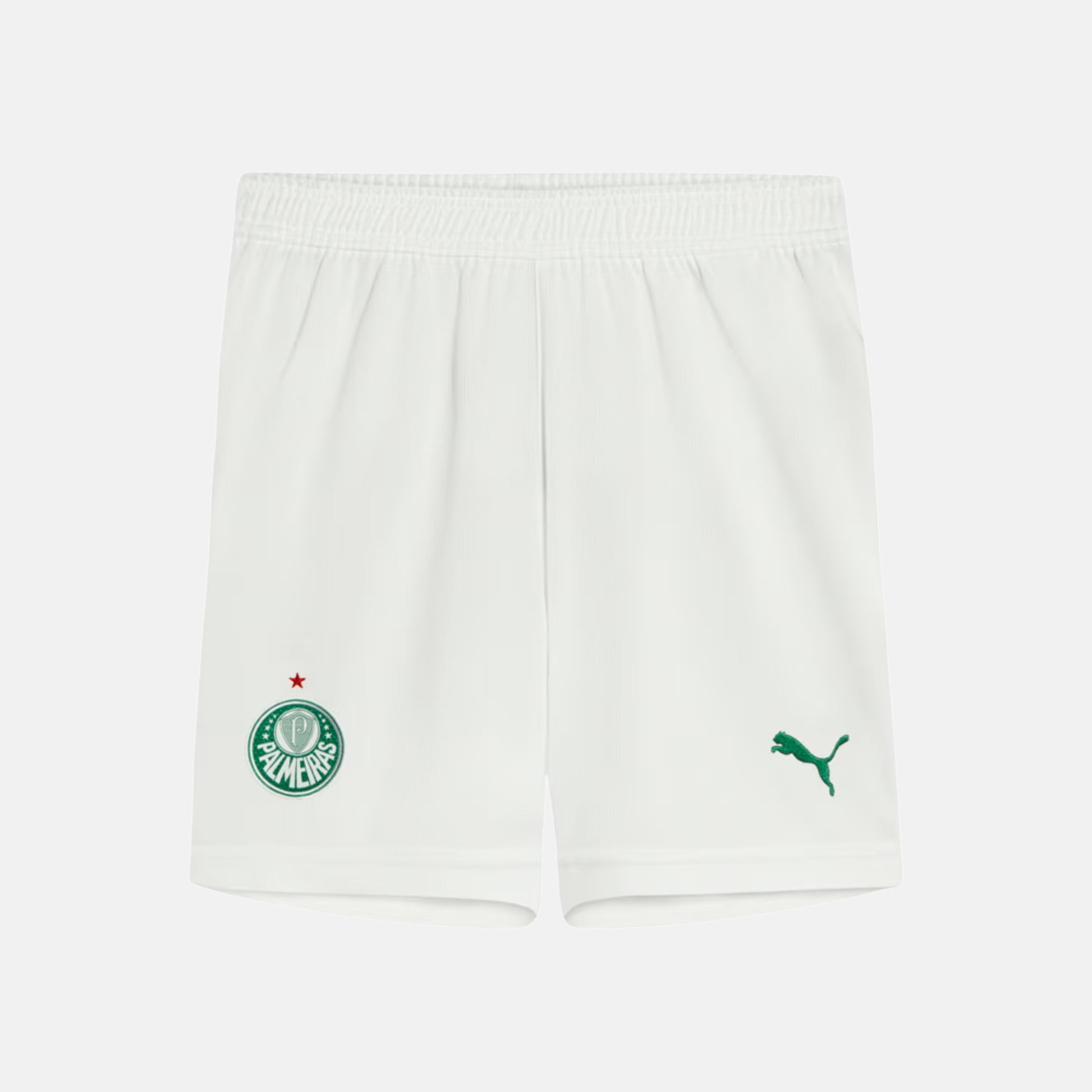 Shorts Palmeiras 2025 I – Torcedor - imagem 1