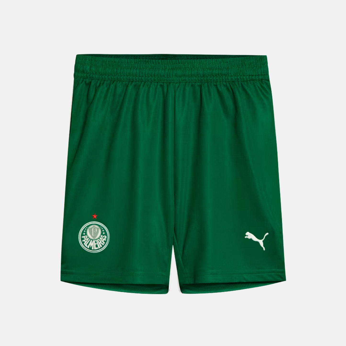 Shorts Palmeiras 2025 II – Torcedor - imagem 1