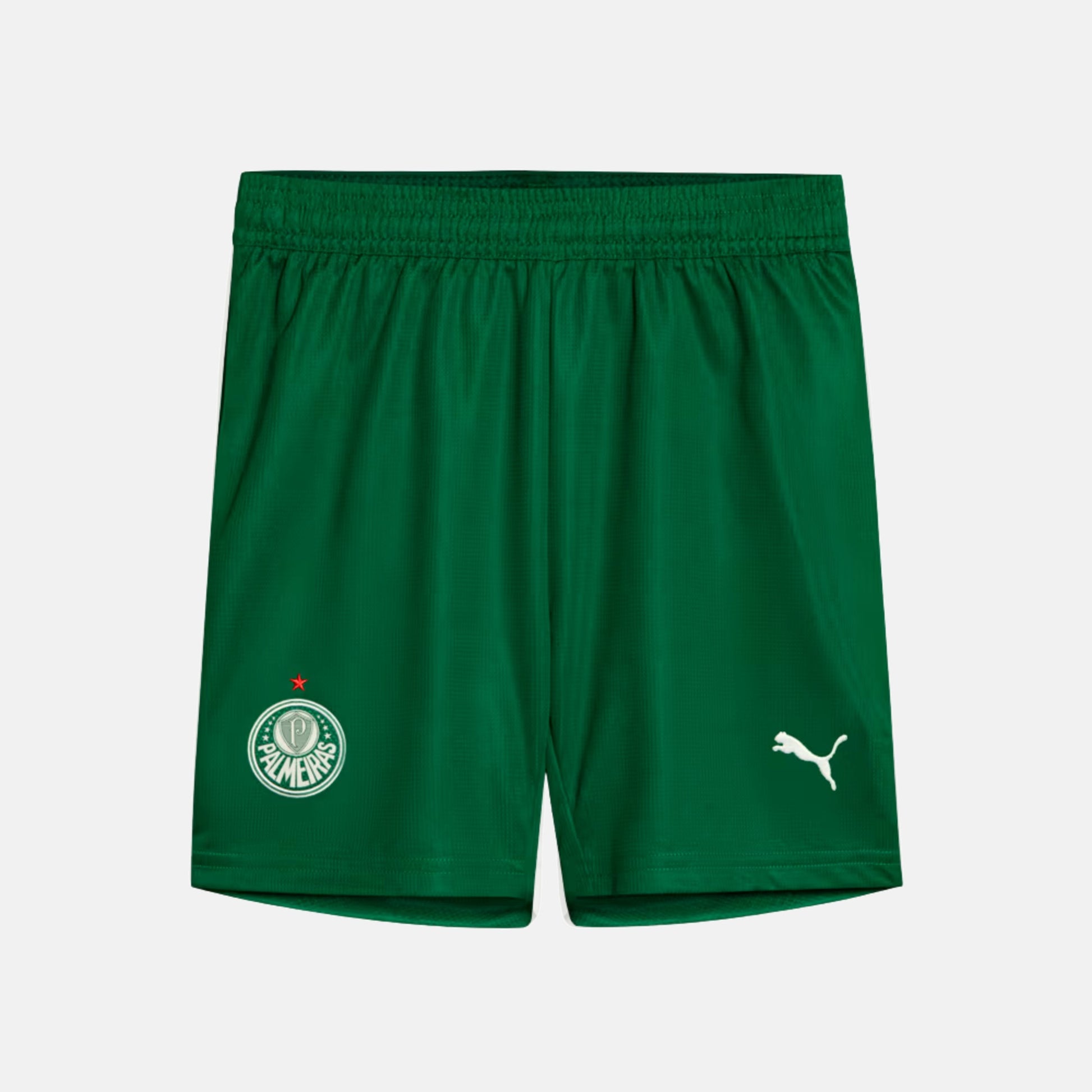 Shorts Palmeiras 2025 II – Torcedor - imagem 1