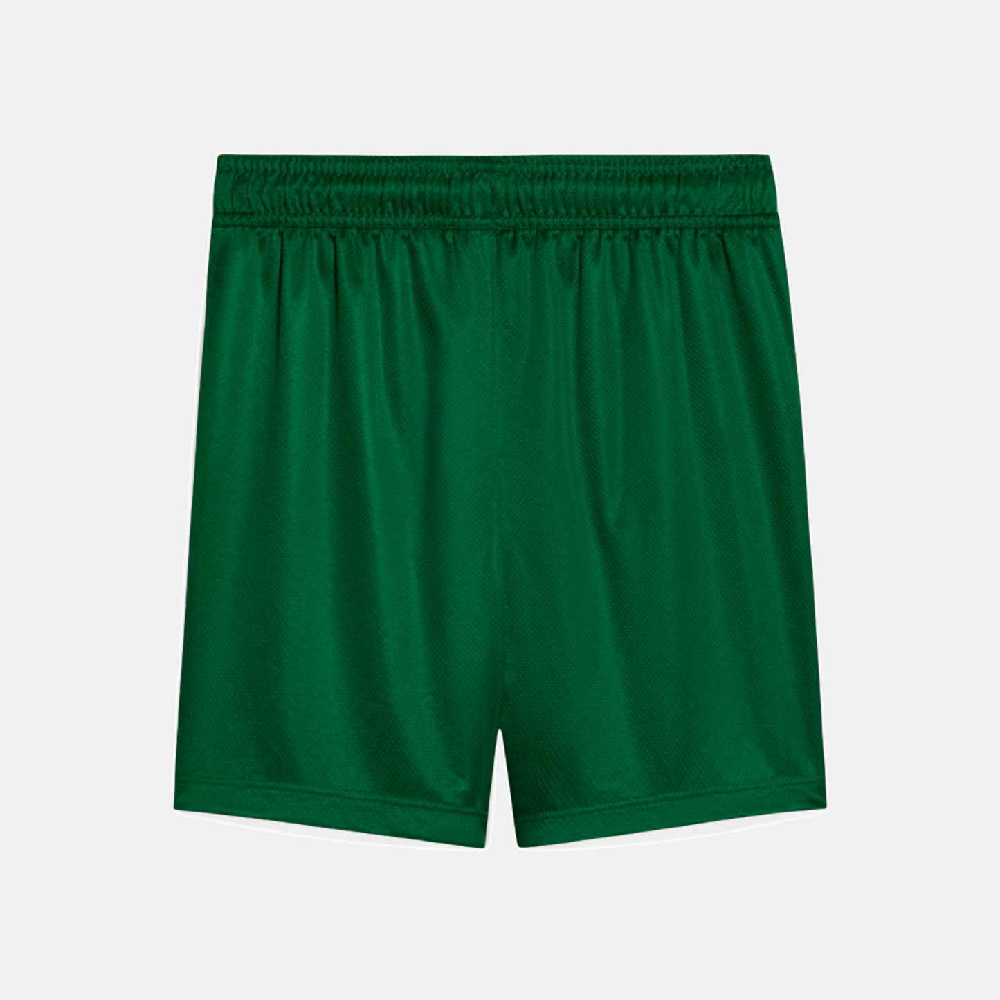 Shorts Palmeiras 2025 II – Torcedor - imagem 2